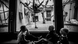 Jo-Anne McArthur, Captive
