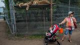 Jo-Anne McArthur, Captive