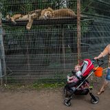 Jo-Anne McArthur, Captive