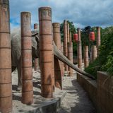 Jo-Anne McArthur, Captive