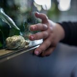 Jo-Anne McArthur, Captive