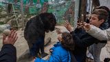 Jo-Anne McArthur, Captive