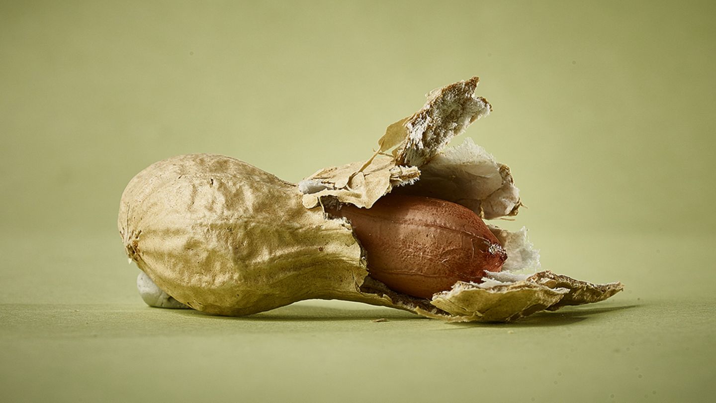 Warum Nüsse so gesund sind [GEO]