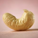 Cashew