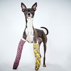 Richard Phibbs - Rescue me