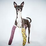 Richard Phibbs - Rescue me