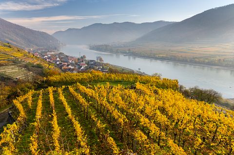 Wachau, Österreich