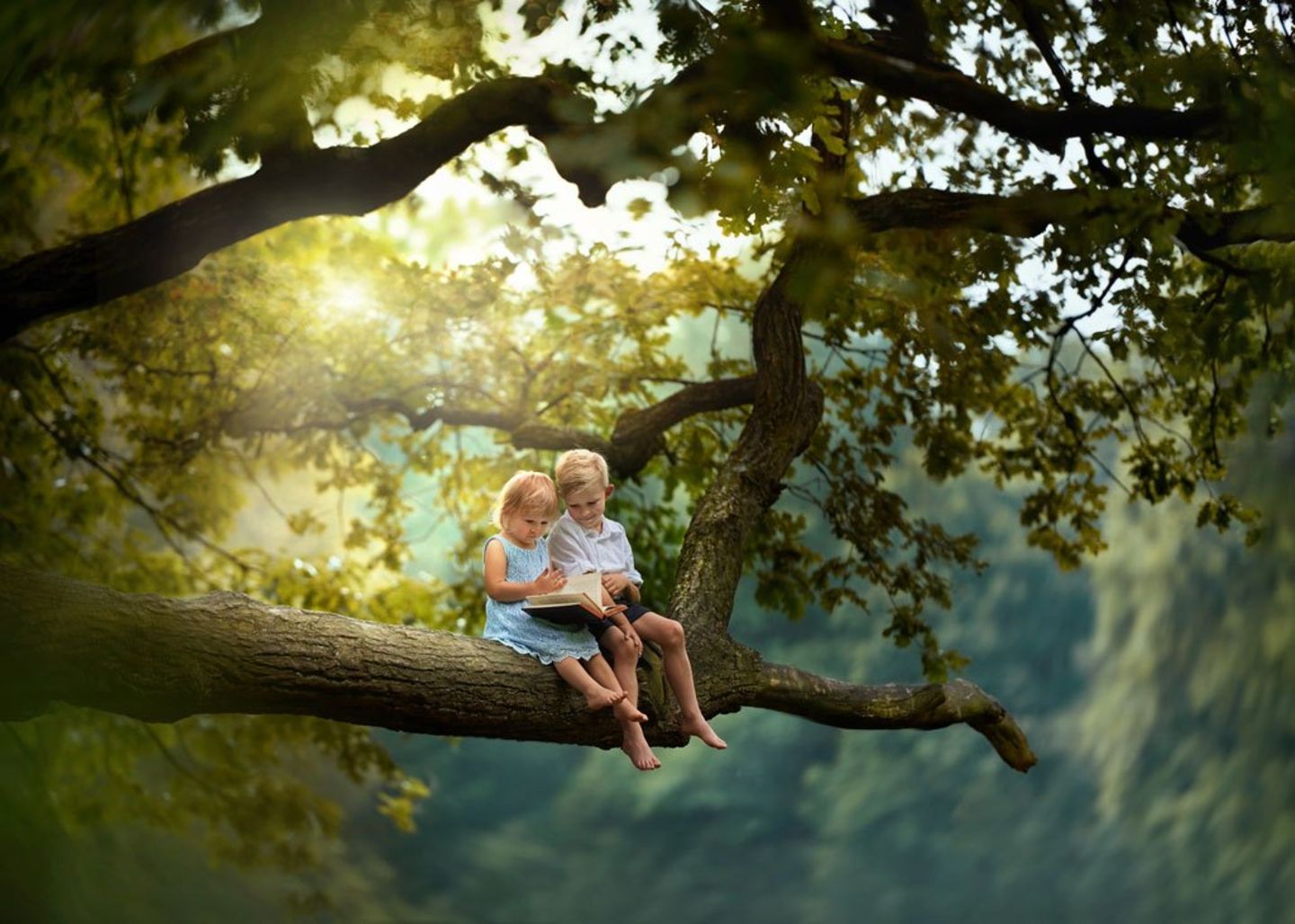 Child Photo Contest
