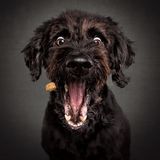 Schnappschüsse von Christian Vieler