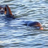 Defline vor Australien