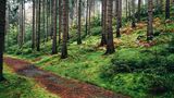 Nationalpark Sächsische Schweiz