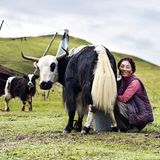 We are the People Kalender