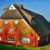 Fachwerkhaus mit berankter Fassade im Herbst in Kirchwerder, Hamburg, Deutschland, Europa