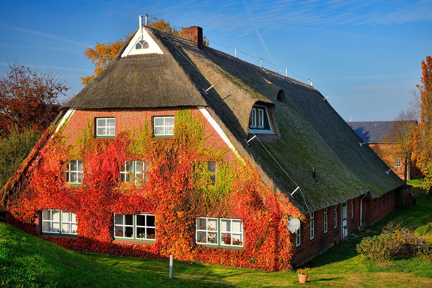 Fachwerkhaus mit berankter Fassade im Herbst in Kirchwerder, Hamburg, Deutschland, Europa