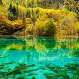 Fünf-Blumen-See, Jiuzhaigou Nationalpark, China