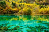 Fünf-Blumen-See, Jiuzhaigou Nationalpark, China
