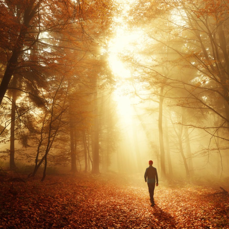 Herbstwanderung