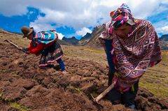 Südamerika, Peru, Cuzco, El Parque de la Papa (Potatoe Park), das Drei-Seen-Tal