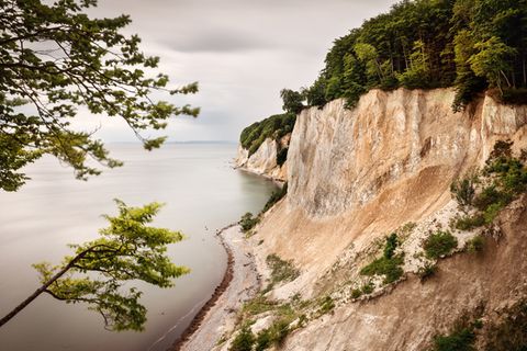 Buchenwaelder Ruegen, Jasmund