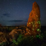 Marcio Cabral, Wildlife Photographer of the Year