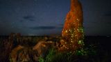 Marcio Cabral, Wildlife Photographer of the Year