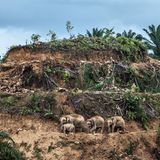 Aaron Gekoski, Wildlife Photographer of the Year