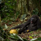 Daniel Nelson, Wildlife Photographer of the Year