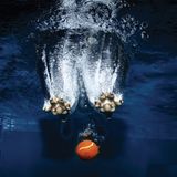 Hund unter Wasser, Casteel