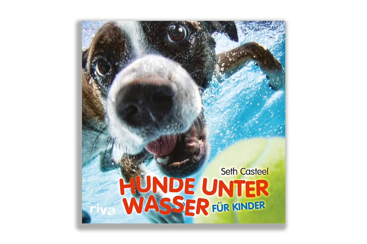 Hund unter Wasser, Casteel