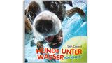 Hund unter Wasser, Casteel