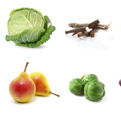 GEO Saisonkalender November 2017