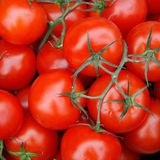Tomaten