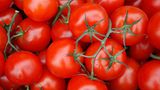 Tomaten