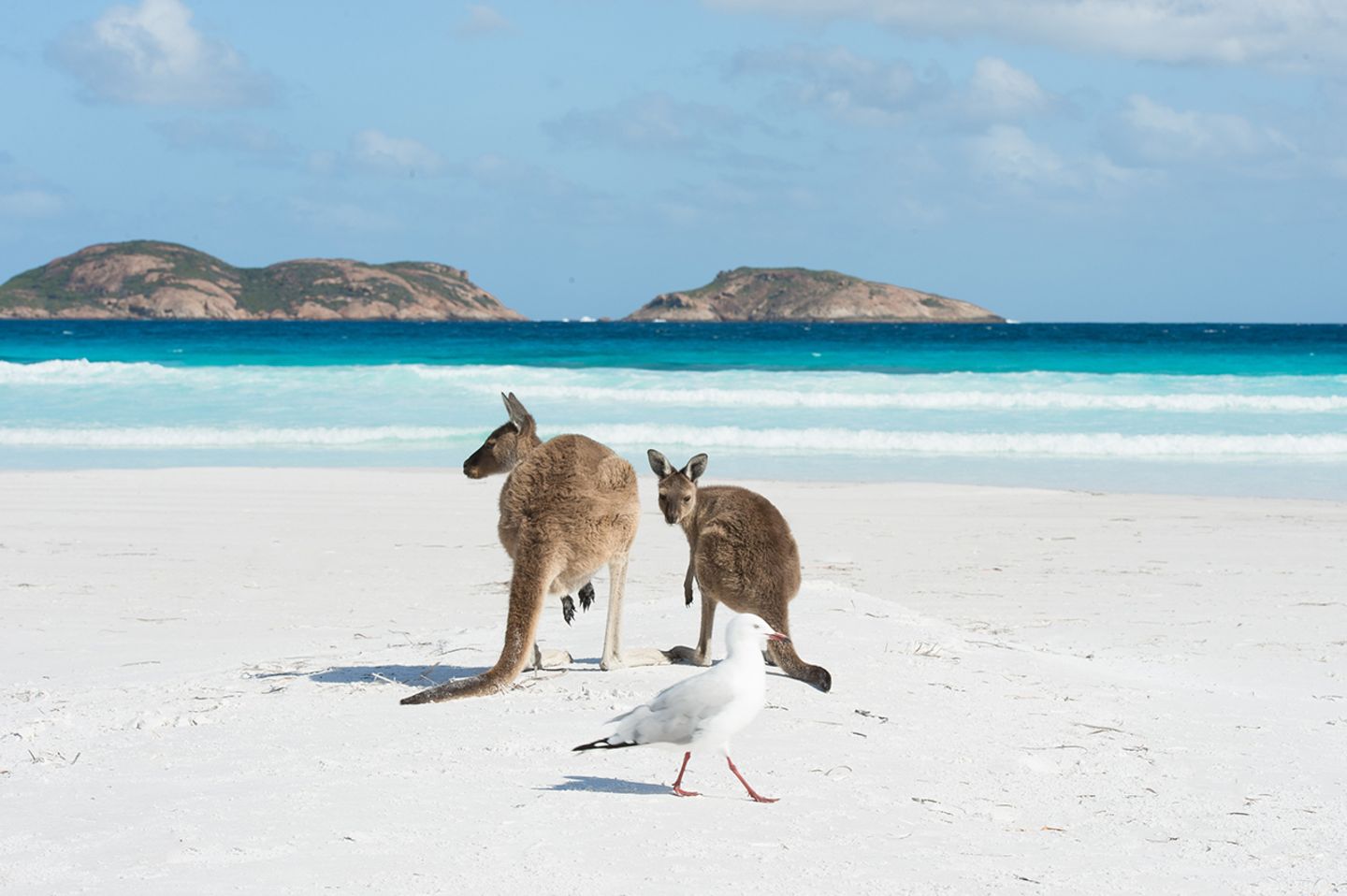 Lucky Bay