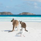 Lucky Bay