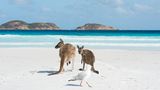 Lucky Bay
