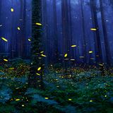 Tim Flach "In Gefahr"