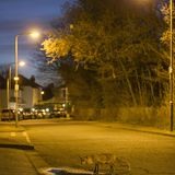 Fuchs bei Nacht