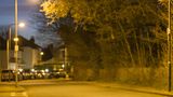 Fuchs bei Nacht