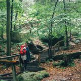 Hoch zu den Schrammsteinen