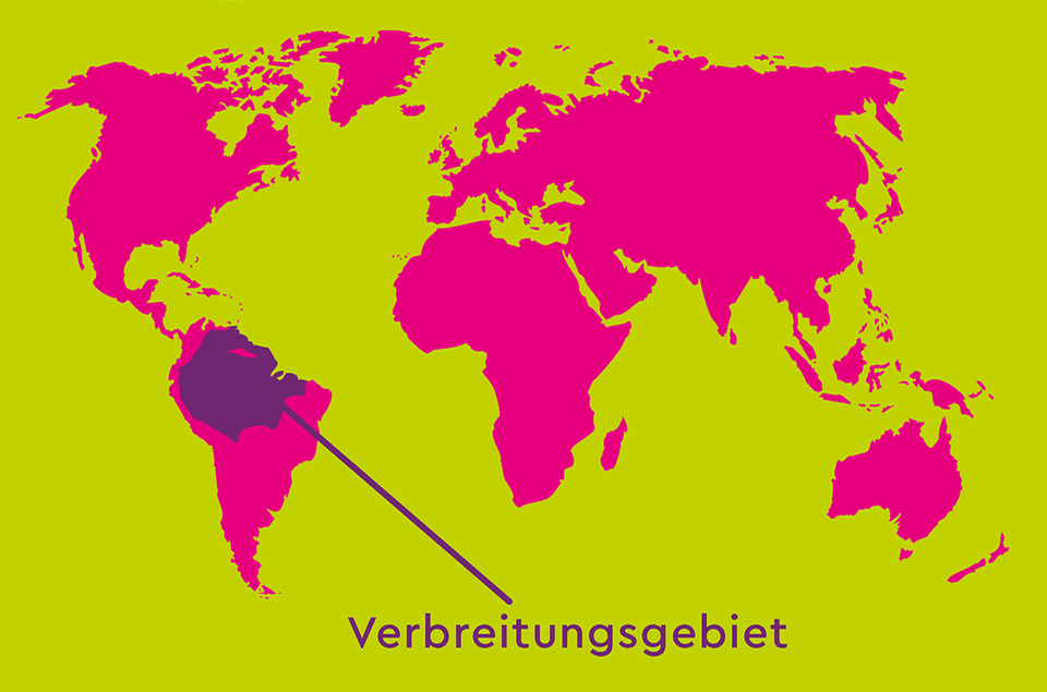 Hoatzin Verbreitungsgebiet