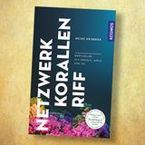 Netzwerk Korallenriff