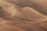 Fat biking in der Wüste