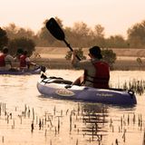 Kajaktour in den Mangroven Lagunen