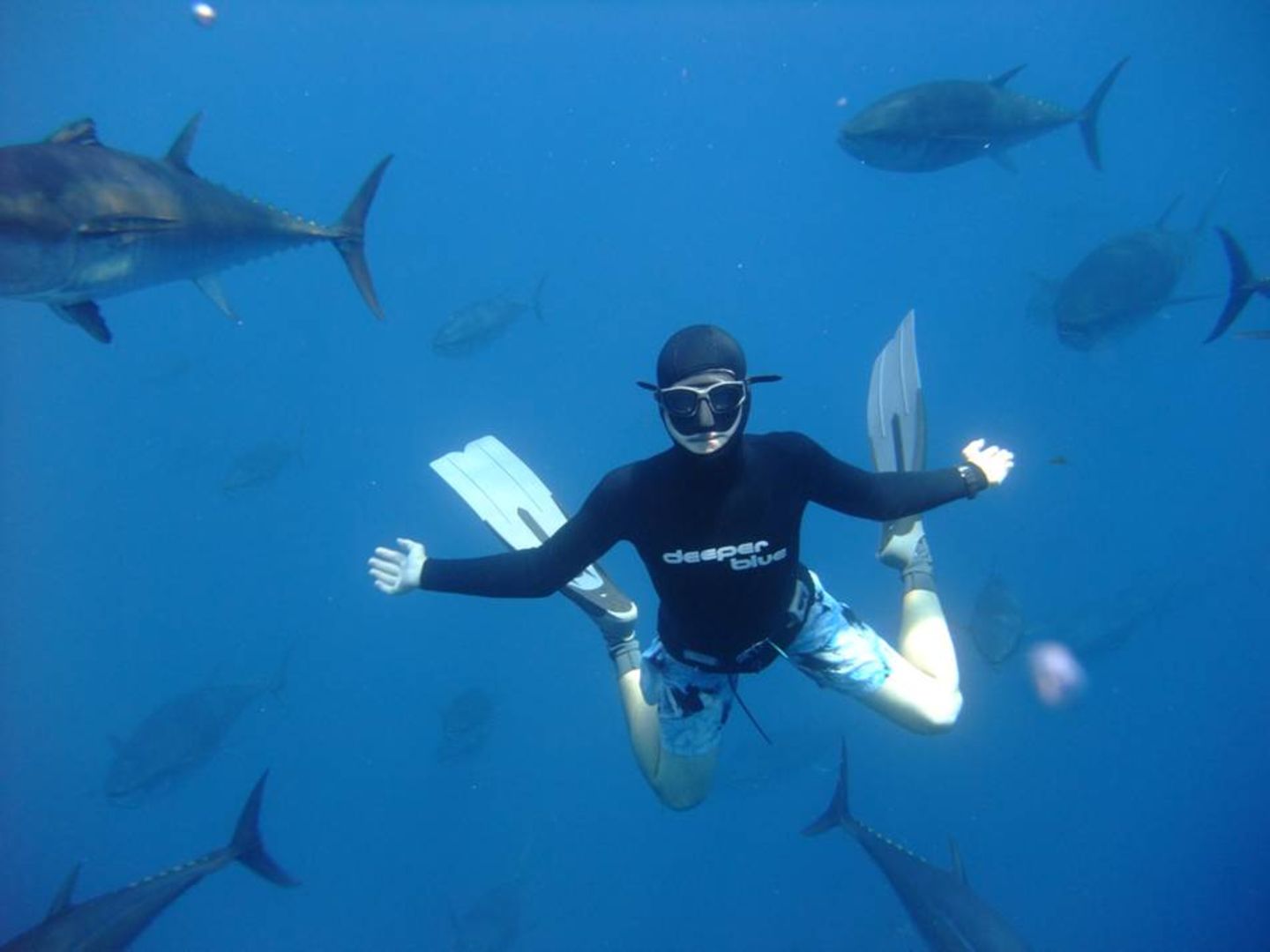 Apnoetauchen Free diving, UAE