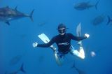 Free diving, UAE