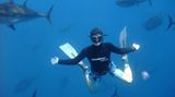 Free diving, UAE