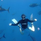 Free diving, UAE