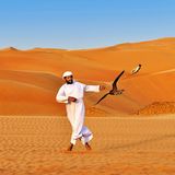 Falkner, Falke, Abu Dhabi