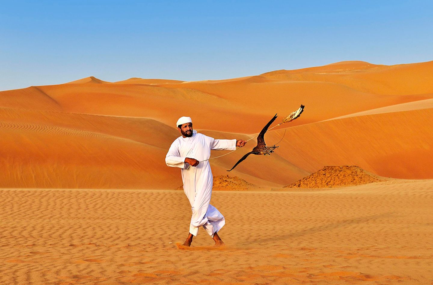Über Falken lernen und staunen Falkner, Falke, Abu Dhabi